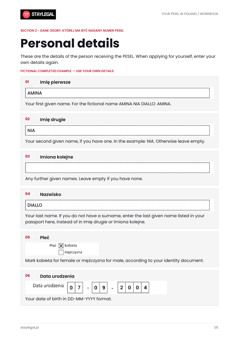 A page from the guide showing a completed personal-details section with fictional data and explanations in English